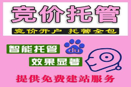 电商SEM推广案例解析